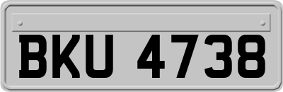 BKU4738