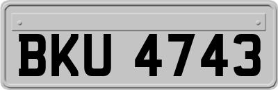 BKU4743