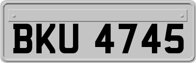 BKU4745