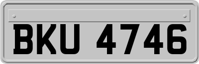 BKU4746