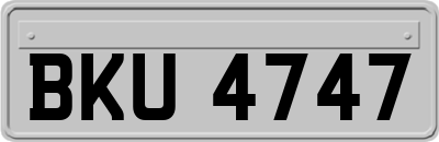 BKU4747
