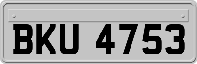 BKU4753