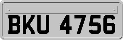 BKU4756
