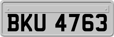 BKU4763