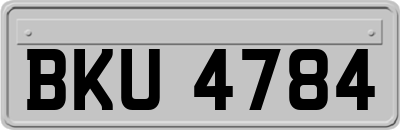 BKU4784