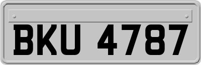 BKU4787