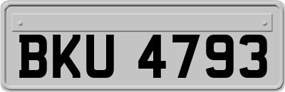 BKU4793