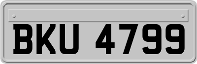 BKU4799