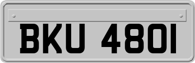 BKU4801