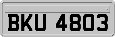 BKU4803