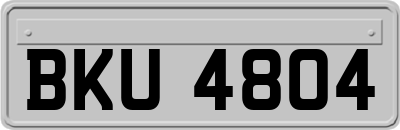 BKU4804