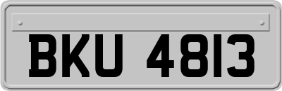 BKU4813