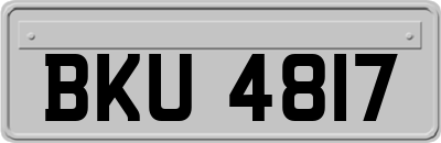 BKU4817