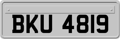 BKU4819
