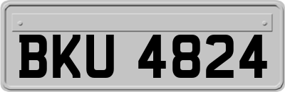 BKU4824