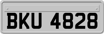 BKU4828
