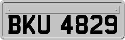 BKU4829