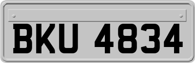BKU4834