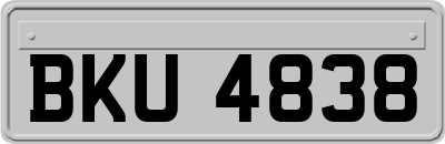BKU4838