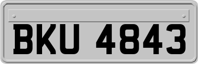 BKU4843