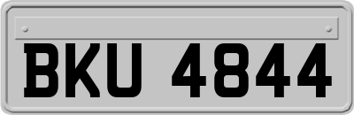 BKU4844