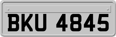 BKU4845