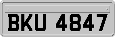 BKU4847
