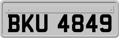 BKU4849