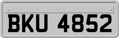BKU4852