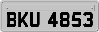 BKU4853