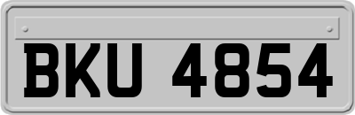 BKU4854