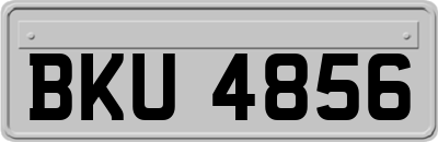 BKU4856