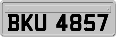 BKU4857
