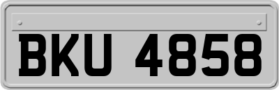 BKU4858