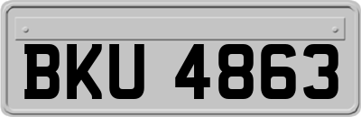 BKU4863