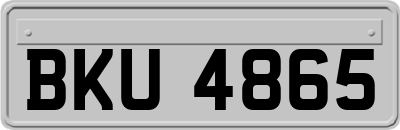 BKU4865