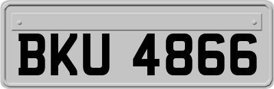 BKU4866