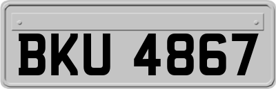 BKU4867
