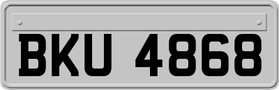 BKU4868