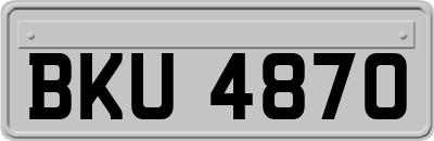 BKU4870
