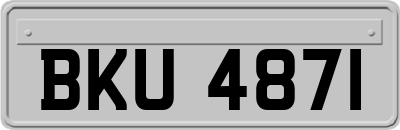 BKU4871