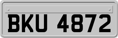 BKU4872