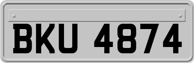 BKU4874