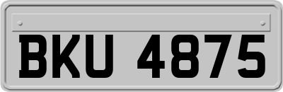 BKU4875