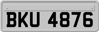 BKU4876