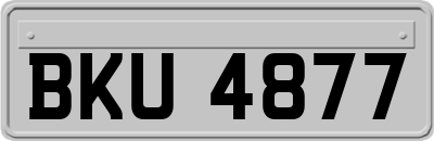 BKU4877