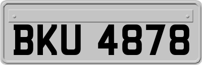 BKU4878