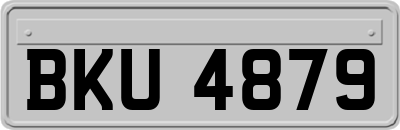 BKU4879