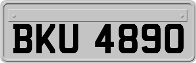 BKU4890