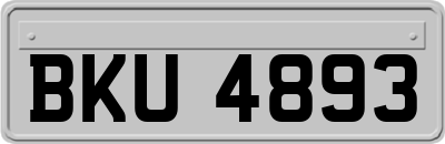 BKU4893